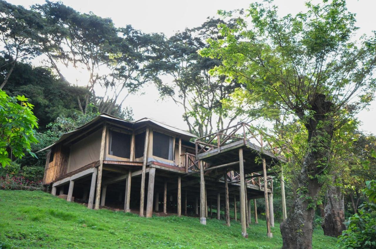 Karama Lodge Arusha Dış mekan fotoğraf