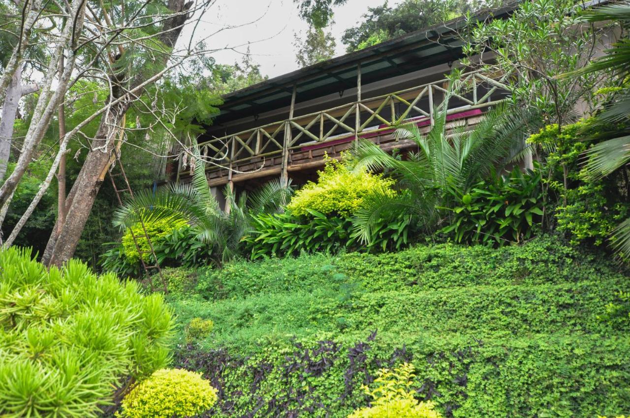 Karama Lodge Arusha Dış mekan fotoğraf