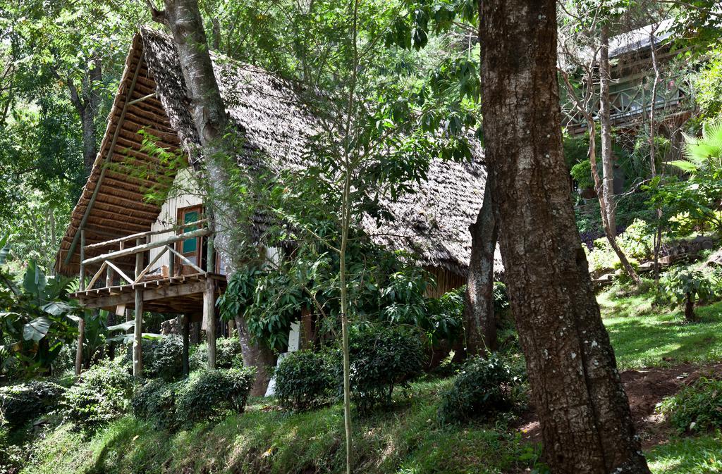 Karama Lodge Arusha Dış mekan fotoğraf