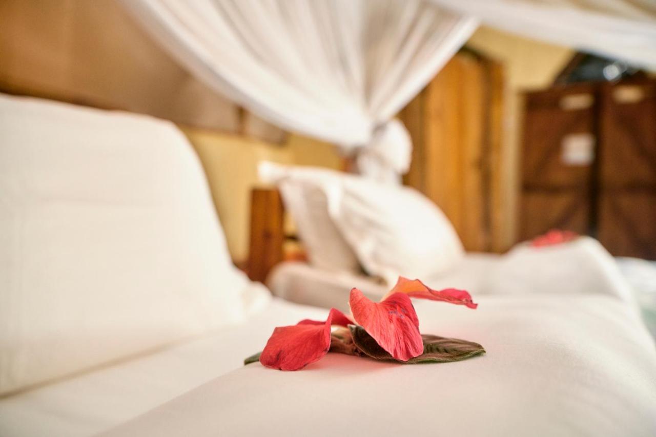 Karama Lodge Arusha Dış mekan fotoğraf